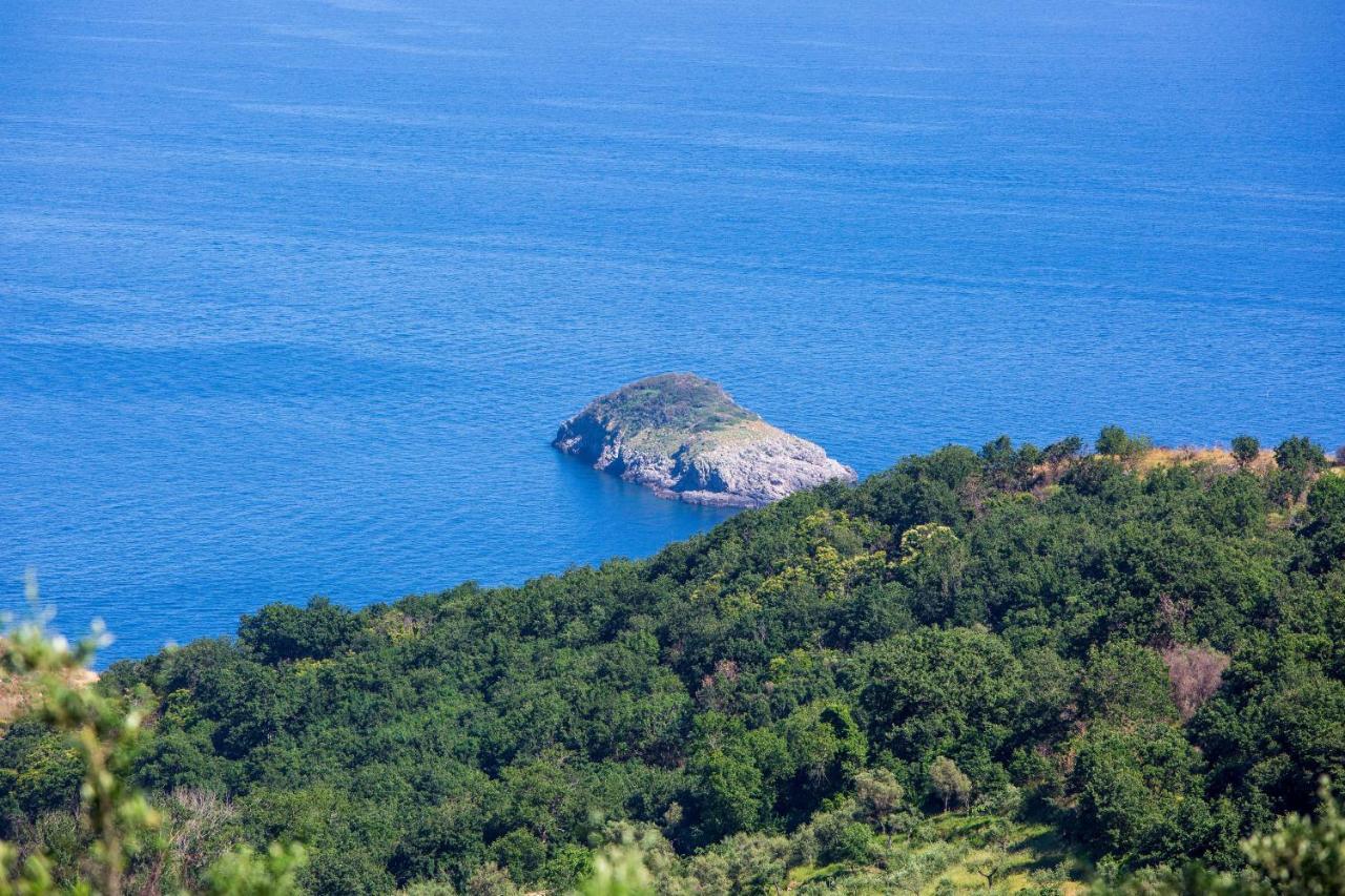 Villa Fedora Sea&Stars Massa Lubrense Exteriör bild