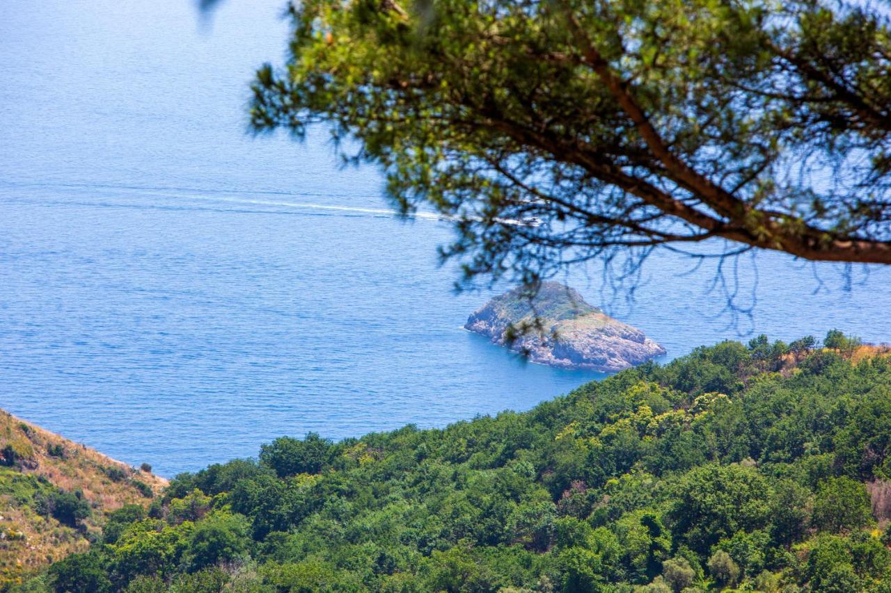 Villa Fedora Sea&Stars Massa Lubrense Exteriör bild