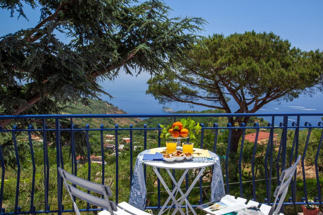 Villa Fedora Sea&Stars Massa Lubrense Exteriör bild